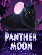 โปรแกรม เกมส์ สล็อต สุดพิเศษจาก NetEnt